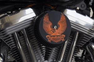 Cover personalizzate per Harley Davidson